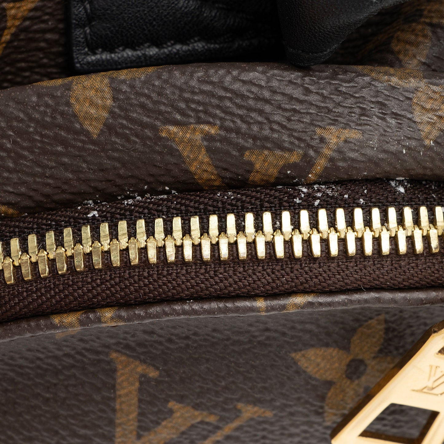 Louis Vuitton Monogram Canvas Palm Springs PM Backpack (SHF-ZliYi7)