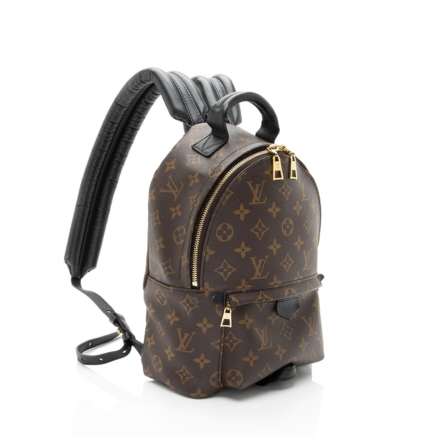 Louis Vuitton Monogram Canvas Palm Springs PM Backpack