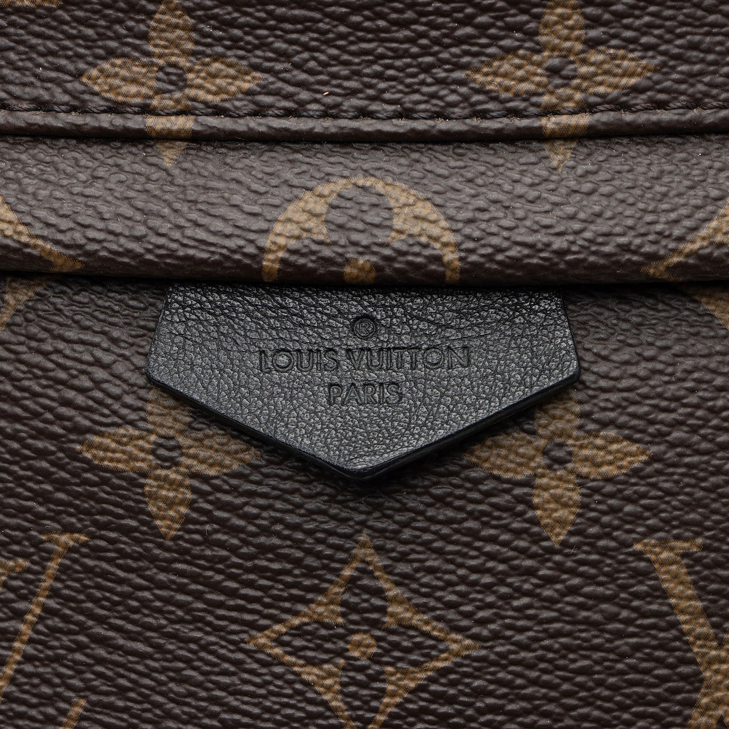 Louis Vuitton Monogram Canvas Palm Springs PM Backpack