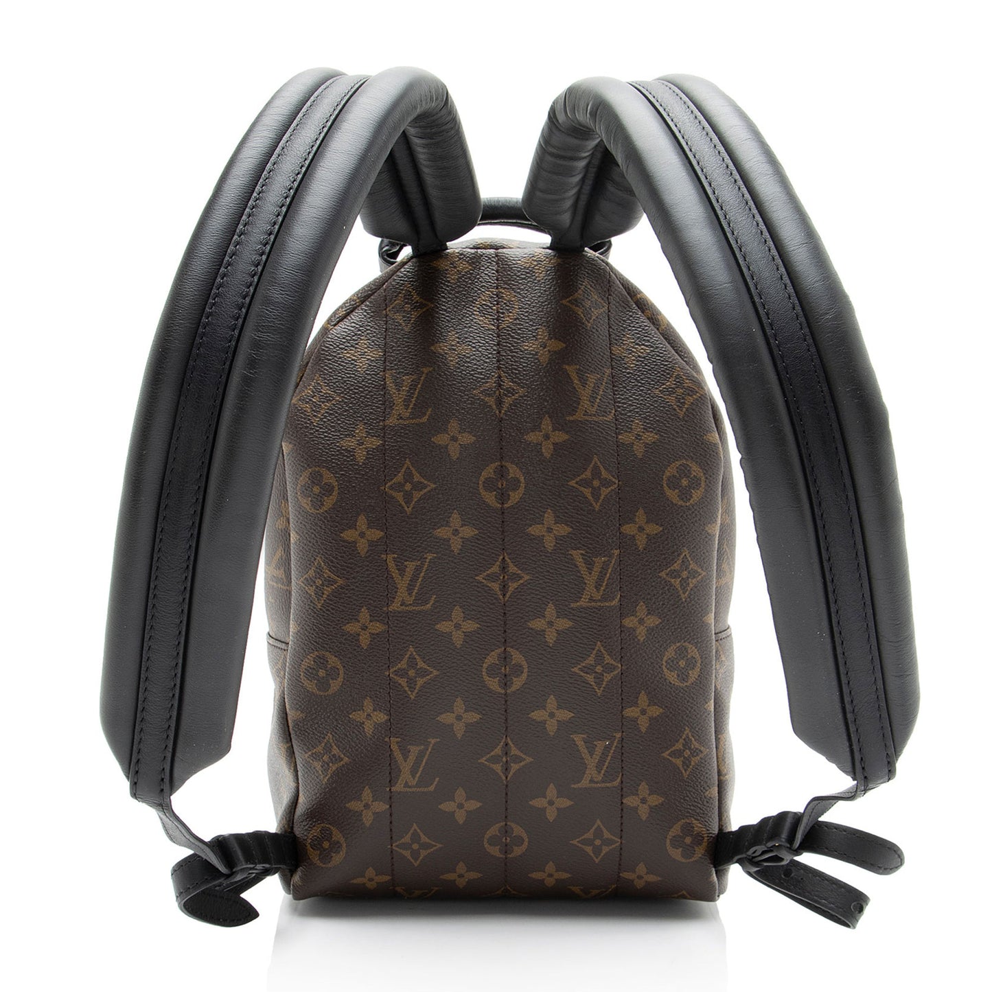 Louis Vuitton Monogram Canvas Palm Springs PM Backpack