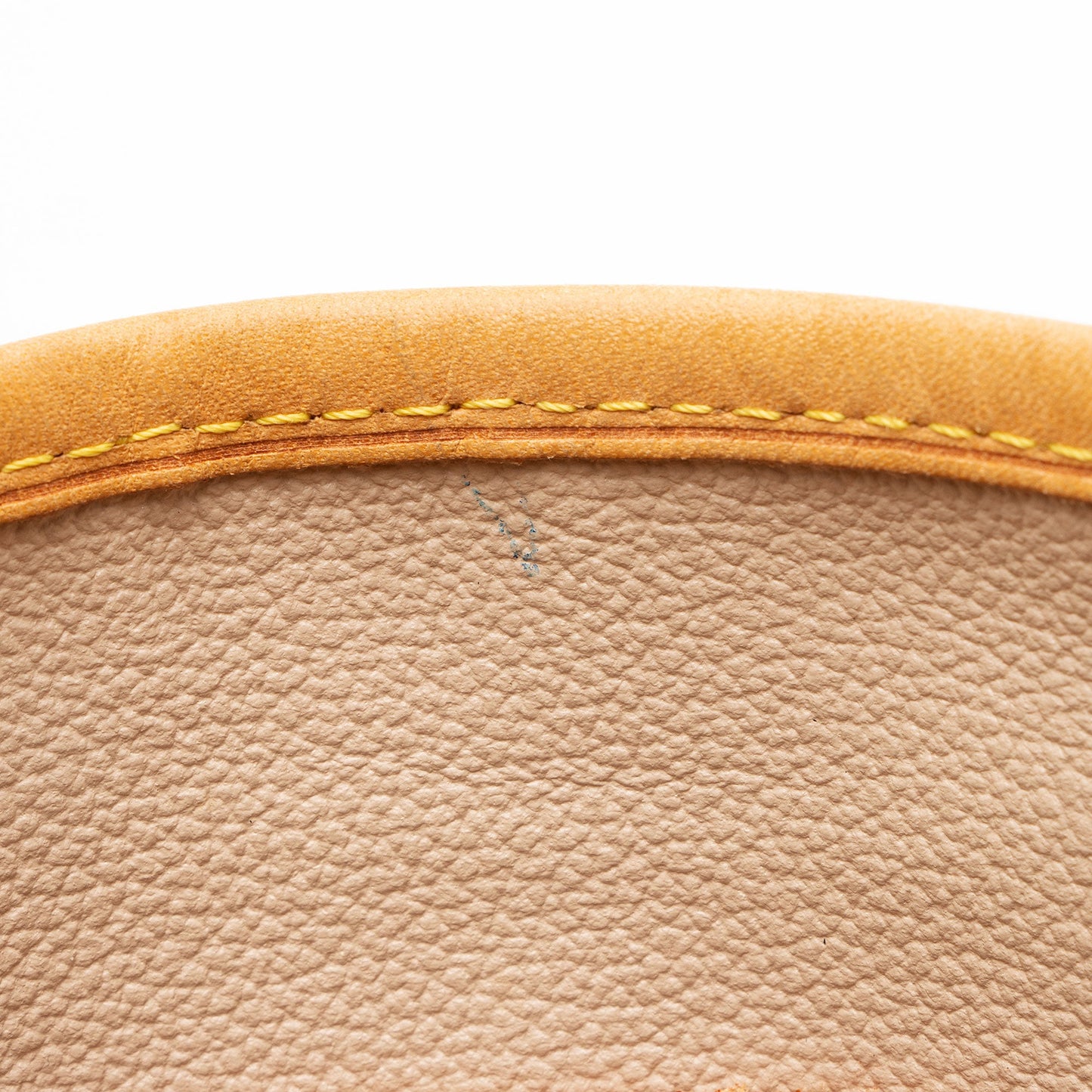 Louis Vuitton Monogram Canvas Petit Bucket Tote