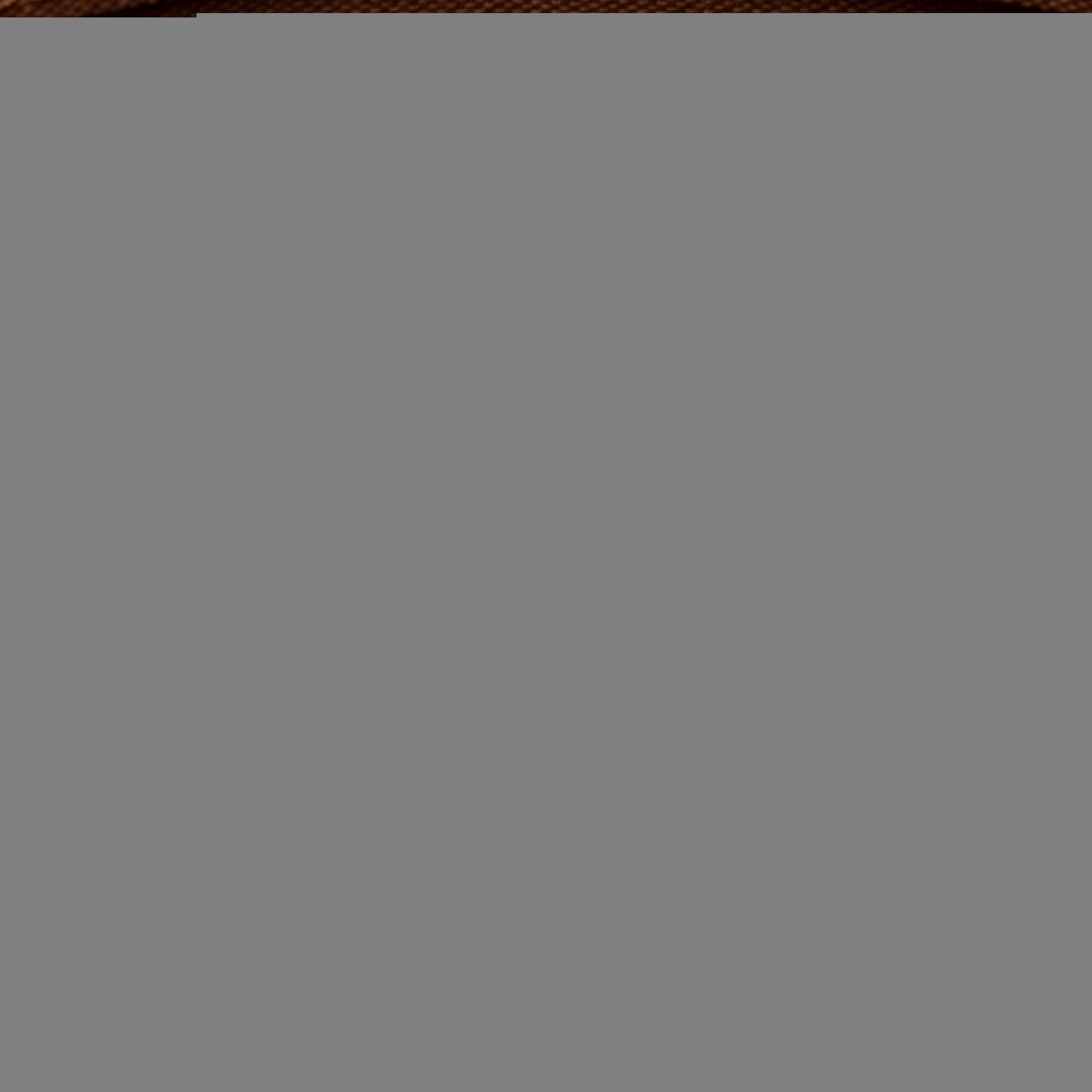 Louis Vuitton Monogram Canvas Totally PM Tote