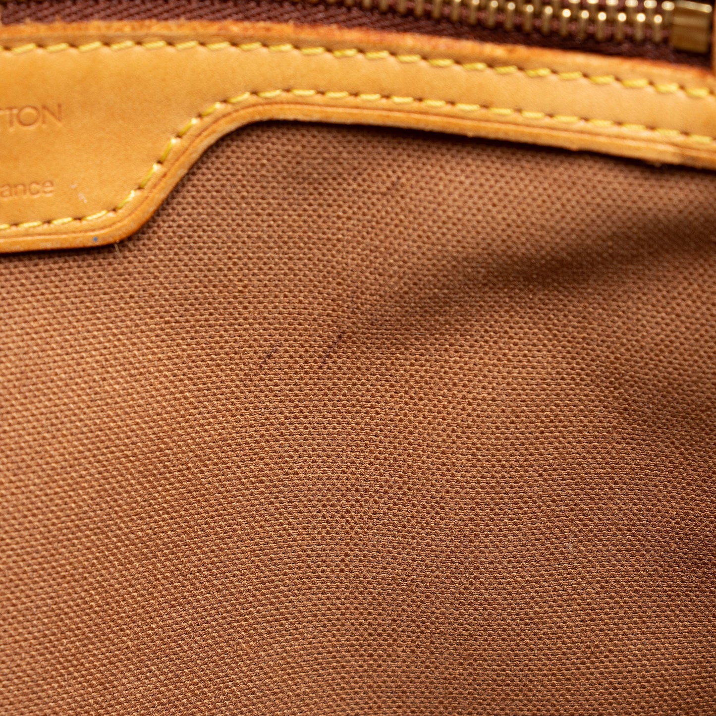 Louis Vuitton Monogram Canvas Vavin GM Tote (SHF-fl5tGD)