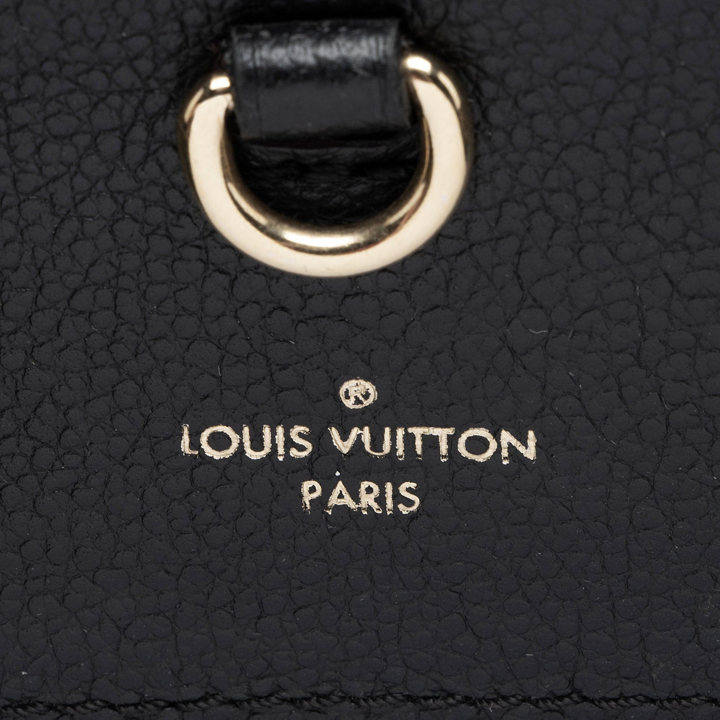 Louis Vuitton Monogram Canvas Venus Satchel