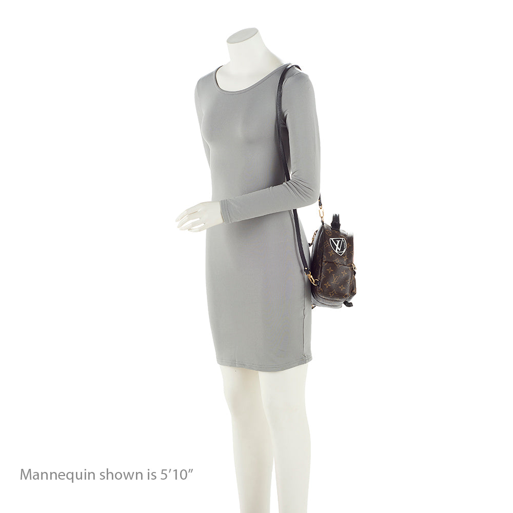 Louis Vuitton Monogram Canvas Palm Springs Mini Backpack -  (SHF-21047)