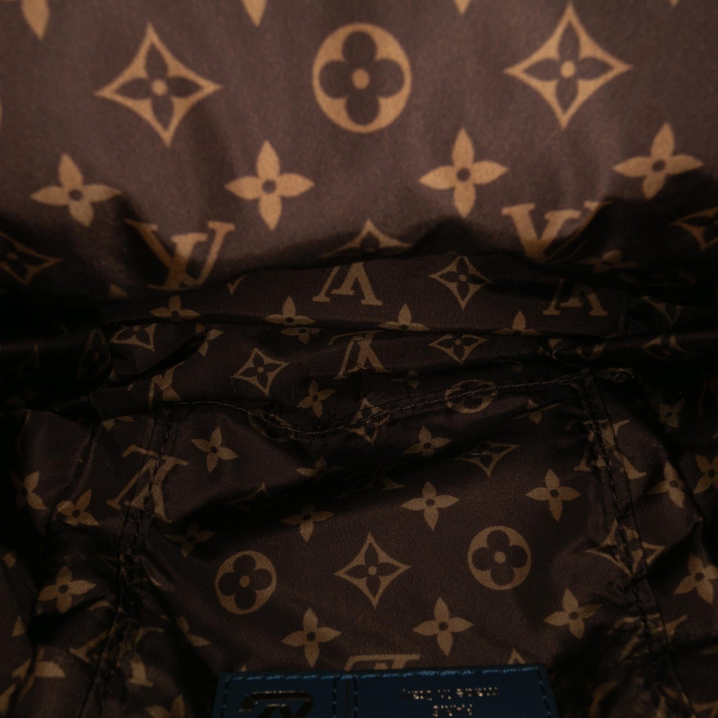 Louis Vuitton Monogram Econyl Pillow Mini Palm Springs