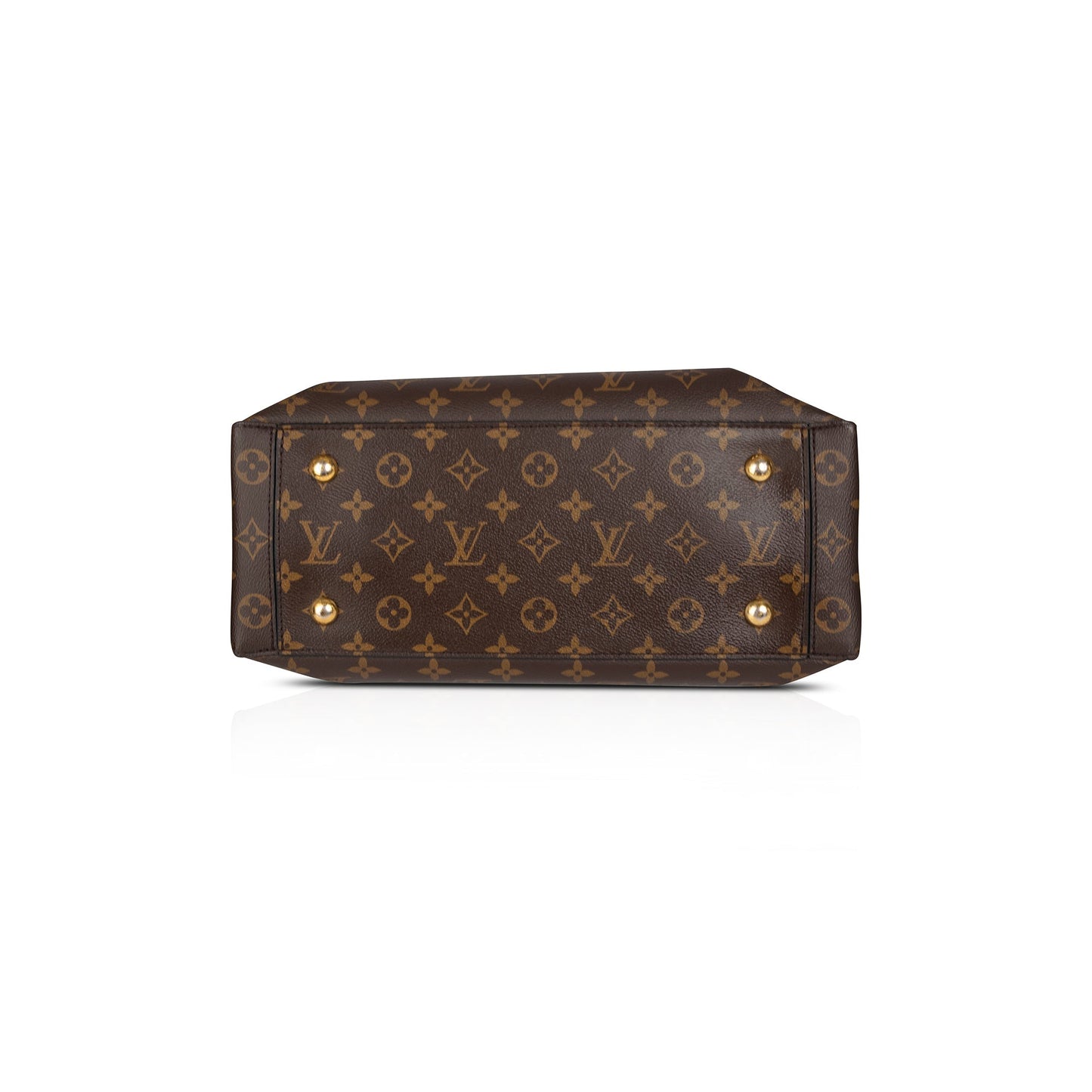 Louis Vuitton Monogram Flower Tote