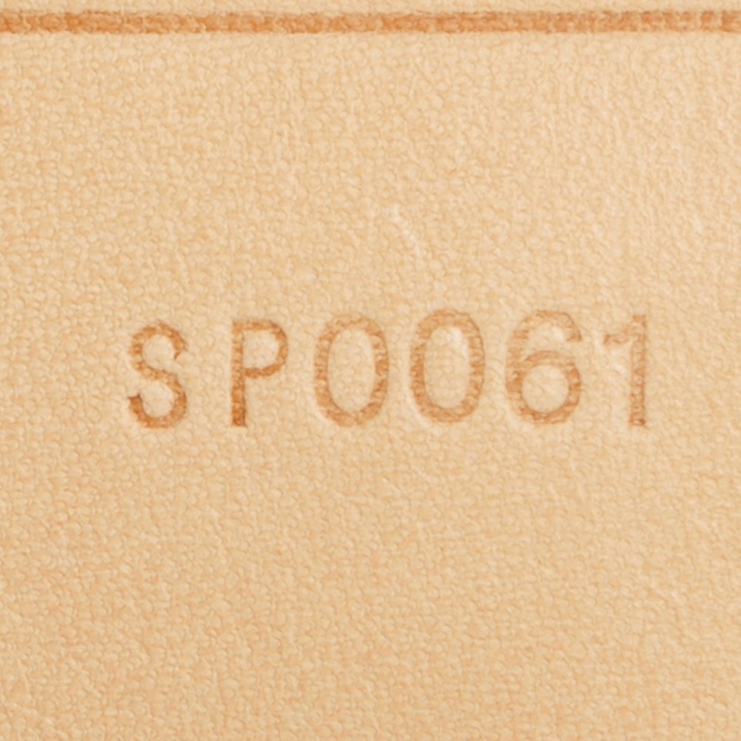 Louis Vuitton Monogram Garment Cover