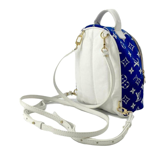 Louis Vuitton Monogram Jacquard Velvet Mini Palm Springs