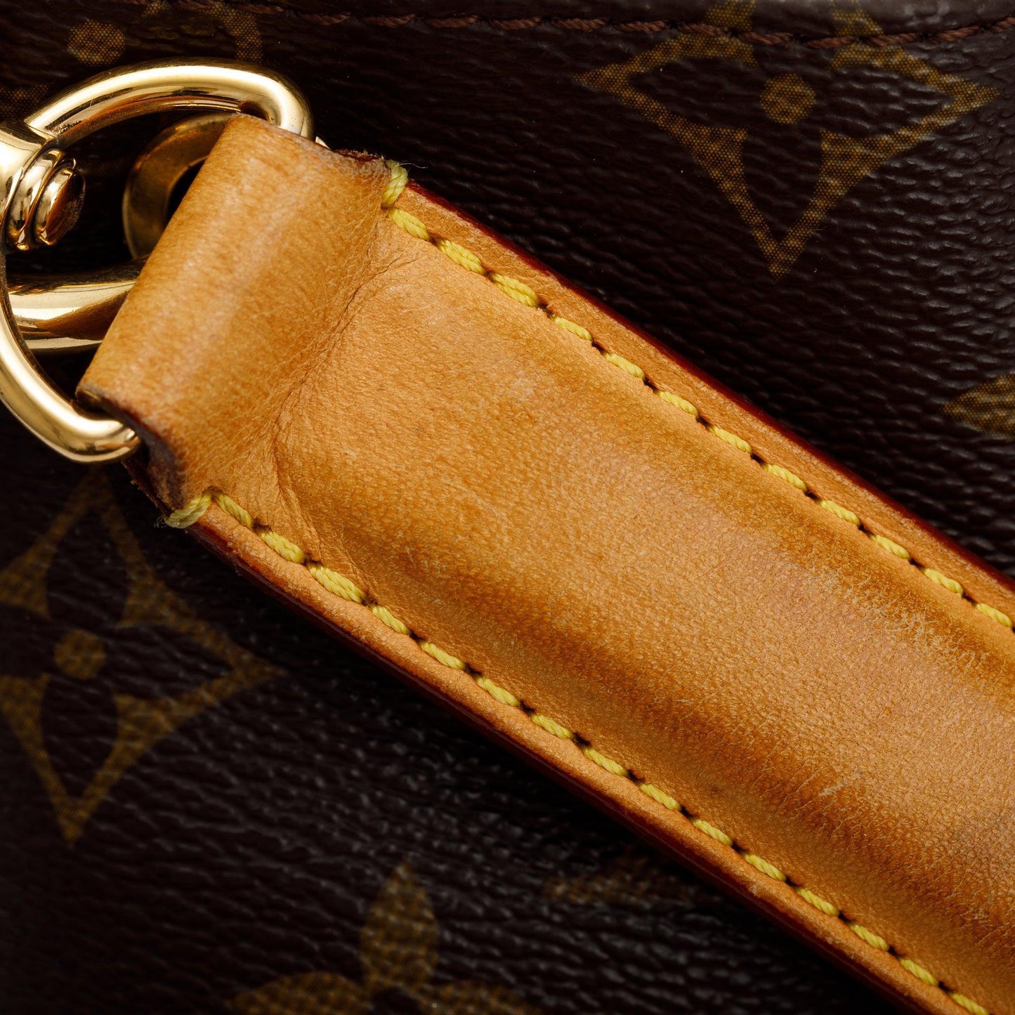 Louis Vuitton Monogram Metis Hobo