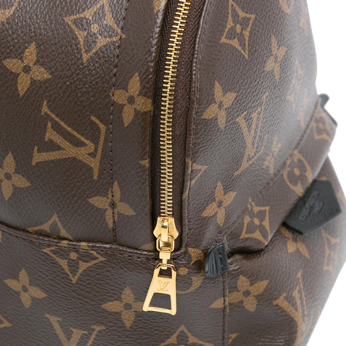 Louis Vuitton Monogram Mini Palm Springs