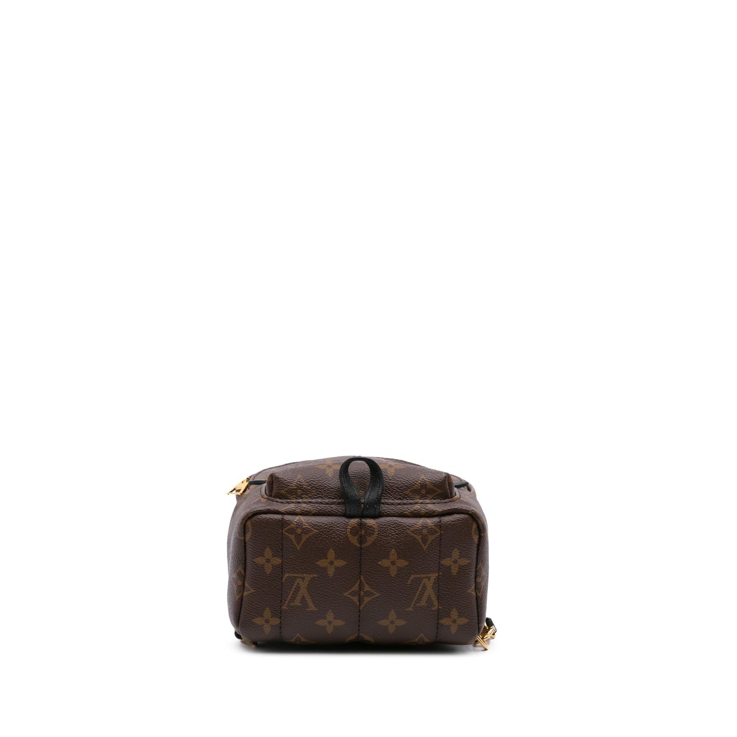 Louis Vuitton Monogram Mini Palm Springs