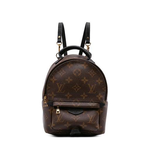Louis Vuitton Monogram Mini Palm Springs