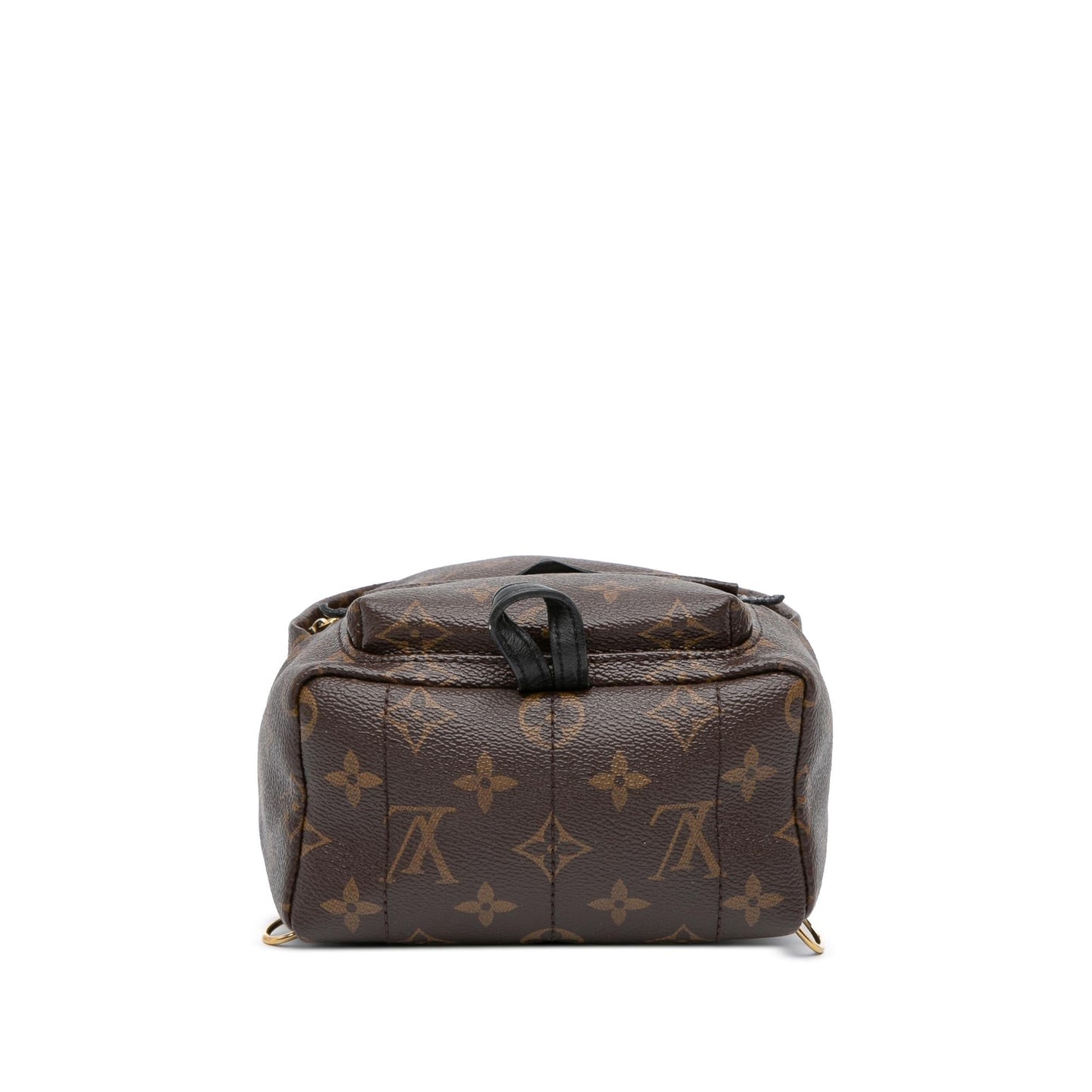 Louis Vuitton Monogram Mini Palm Springs