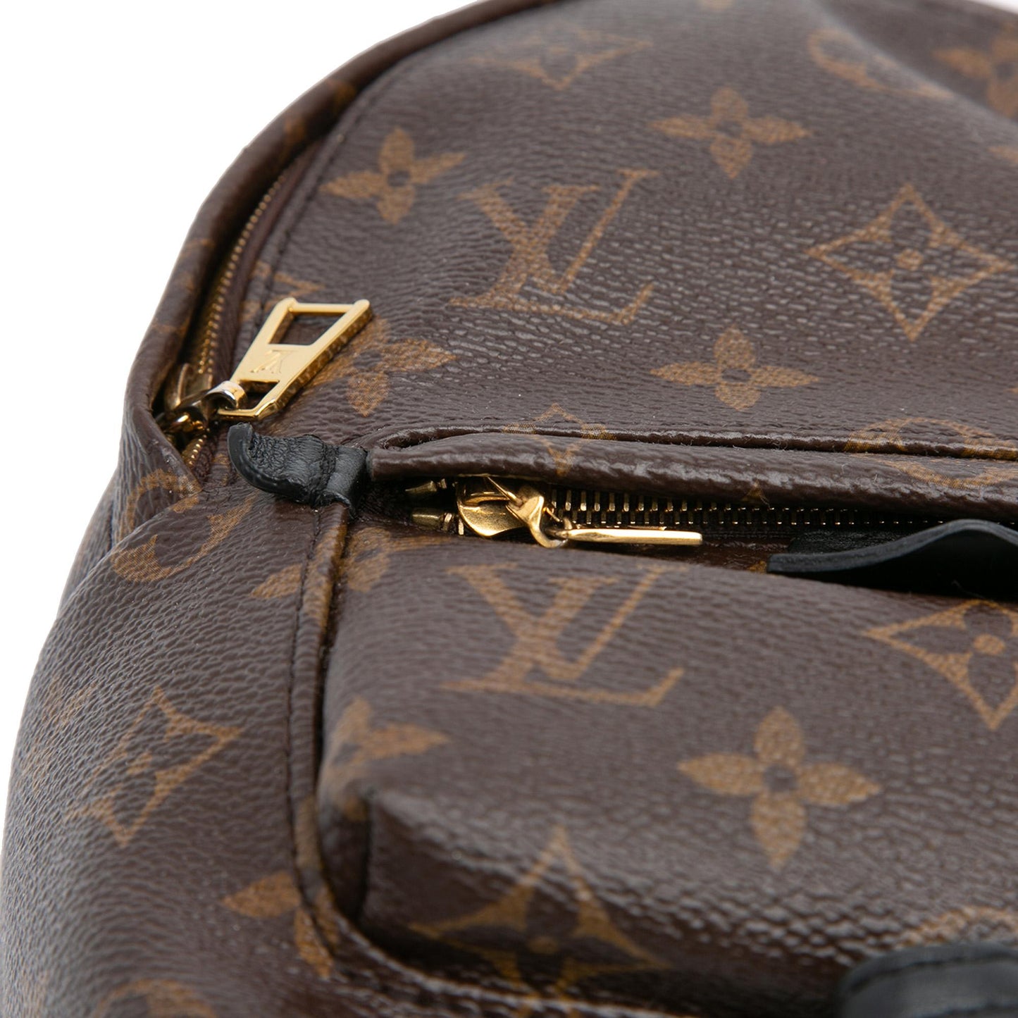 Louis Vuitton Monogram Mini Palm Springs