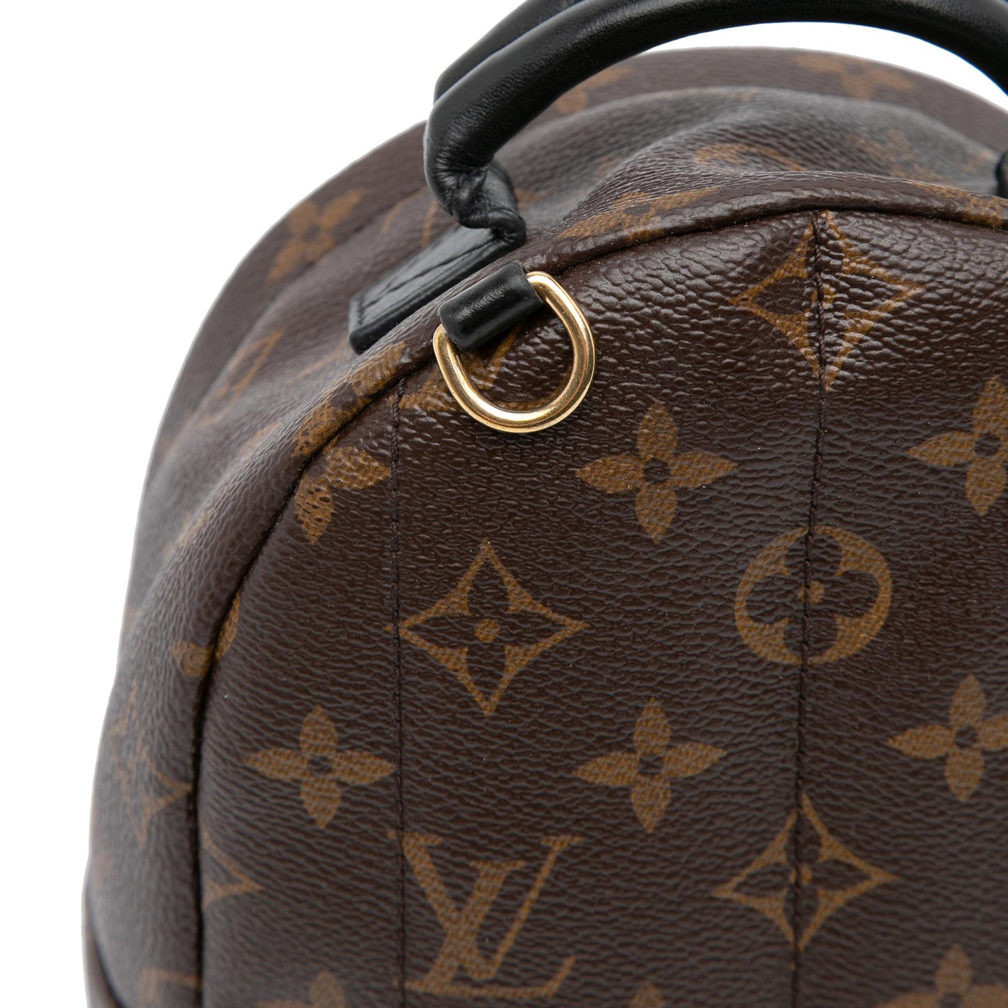 Louis Vuitton Monogram Mini Palm Springs