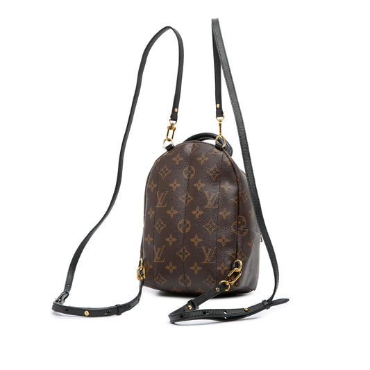 Louis Vuitton Monogram Mini Palm Springs