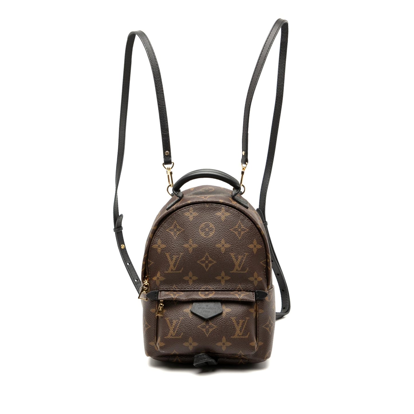 Louis Vuitton Monogram Mini Palm Springs