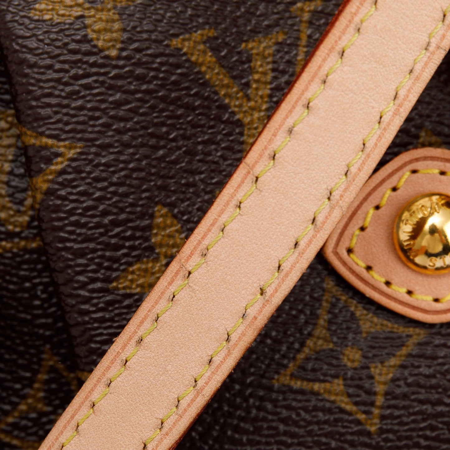 Louis Vuitton Monogram Palermo GM