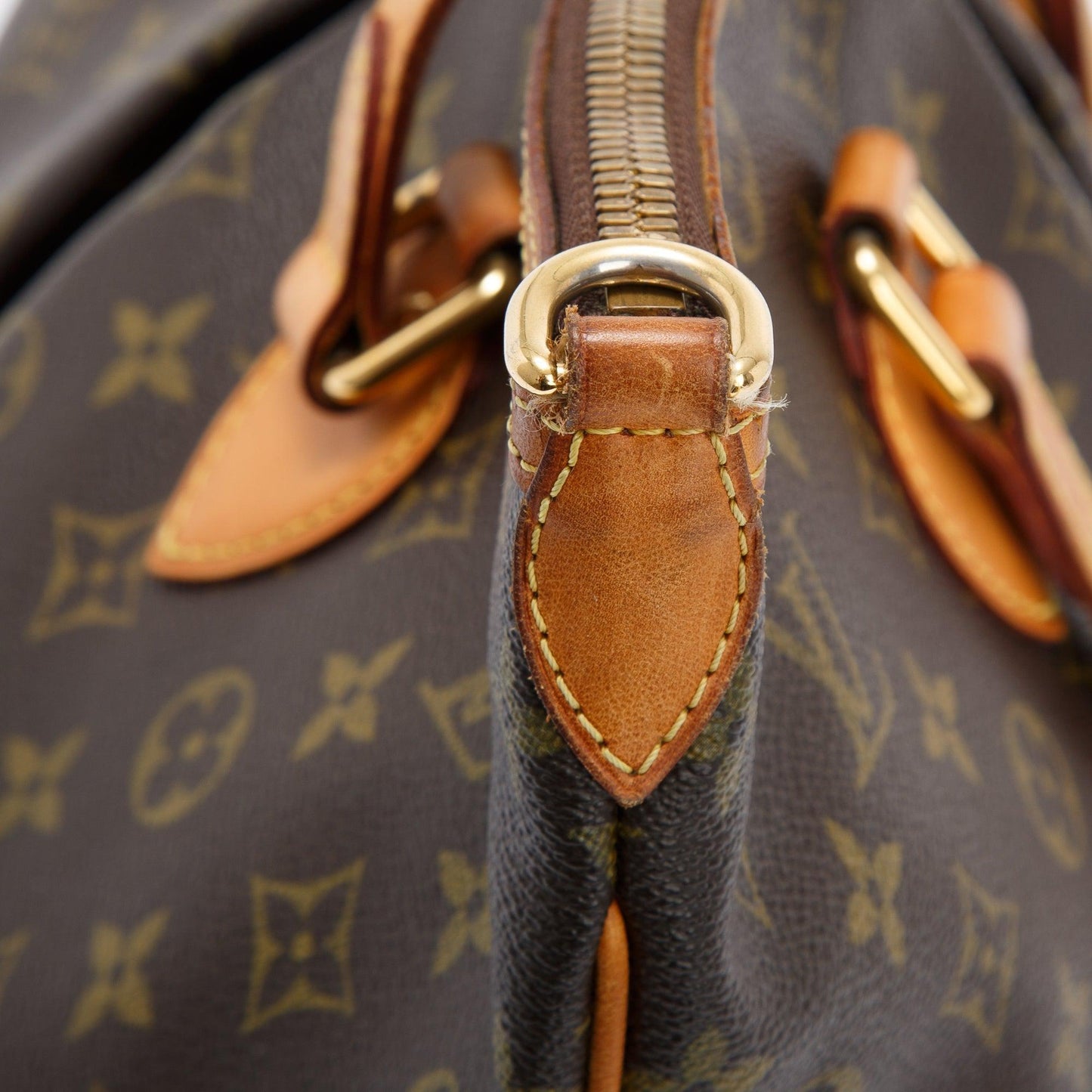 Louis Vuitton Monogram Palermo PM