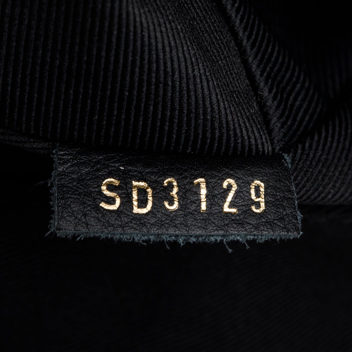 Louis Vuitton Monogram Palm Springs Backpack MM