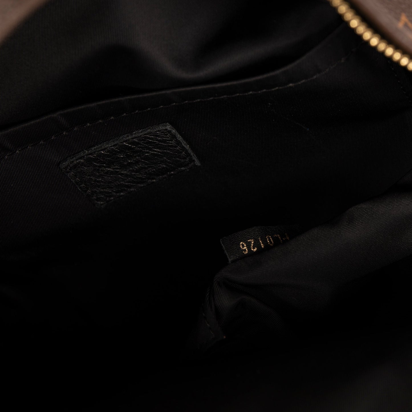 Louis Vuitton Monogram Palm Springs Backpack PM