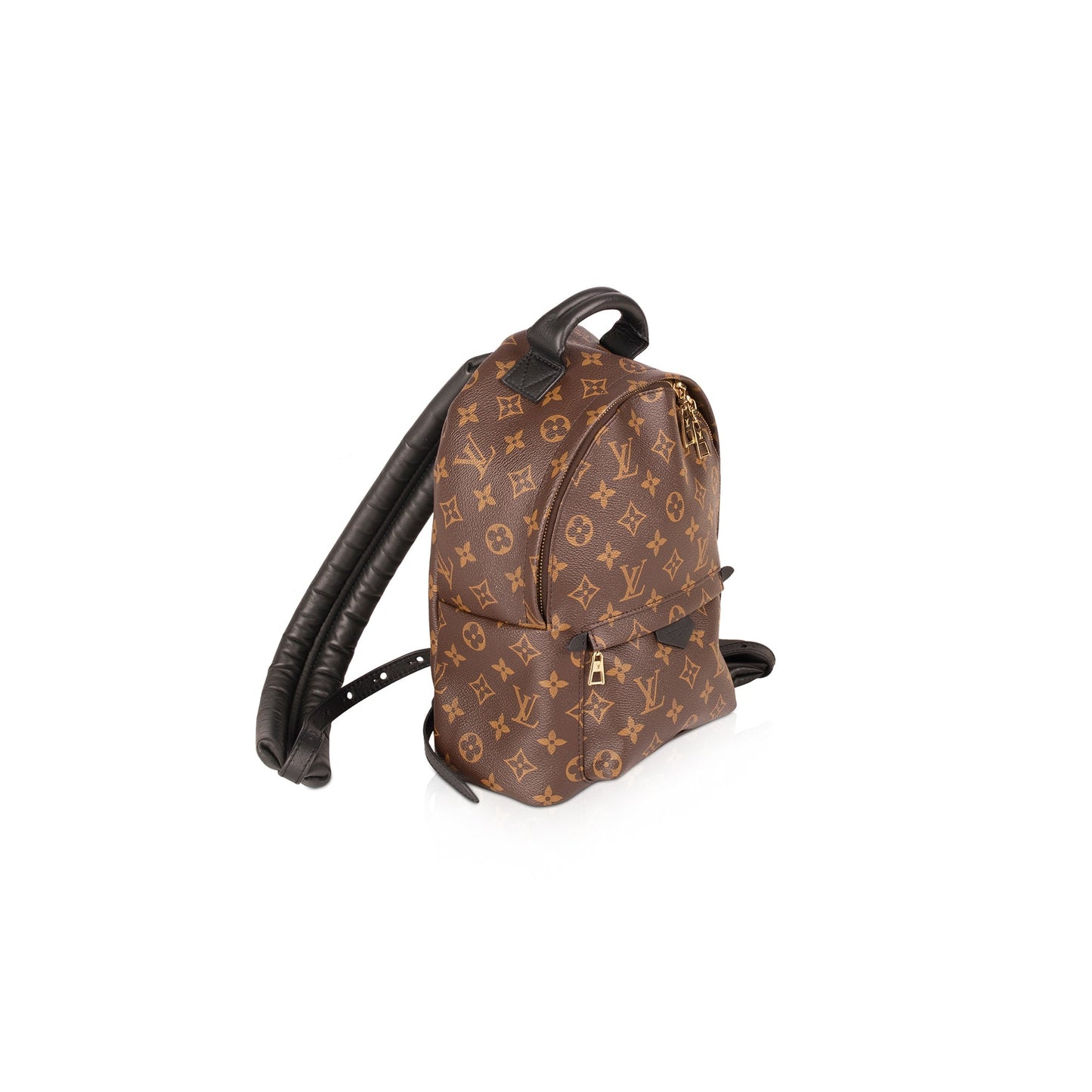 Louis Vuitton Monogram Palm Springs Backpack PM
