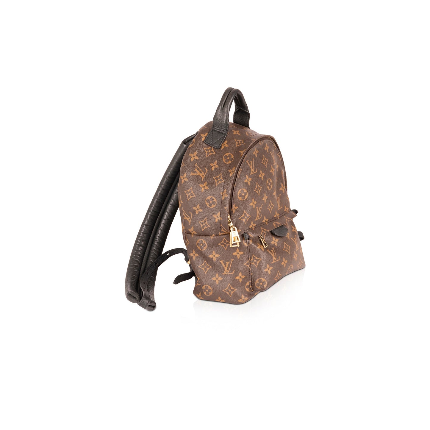 Louis Vuitton Monogram Palm Springs Backpack PM
