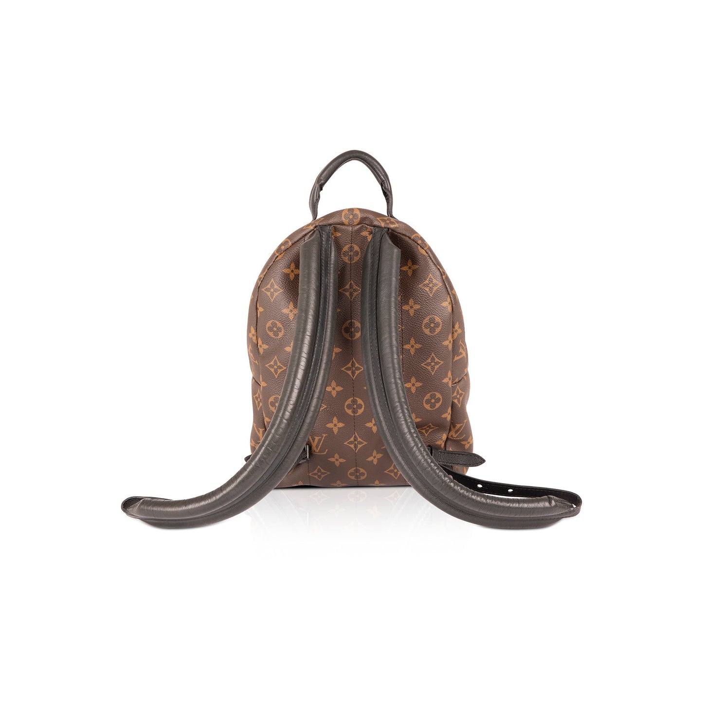 Louis Vuitton Monogram Palm Springs Backpack PM