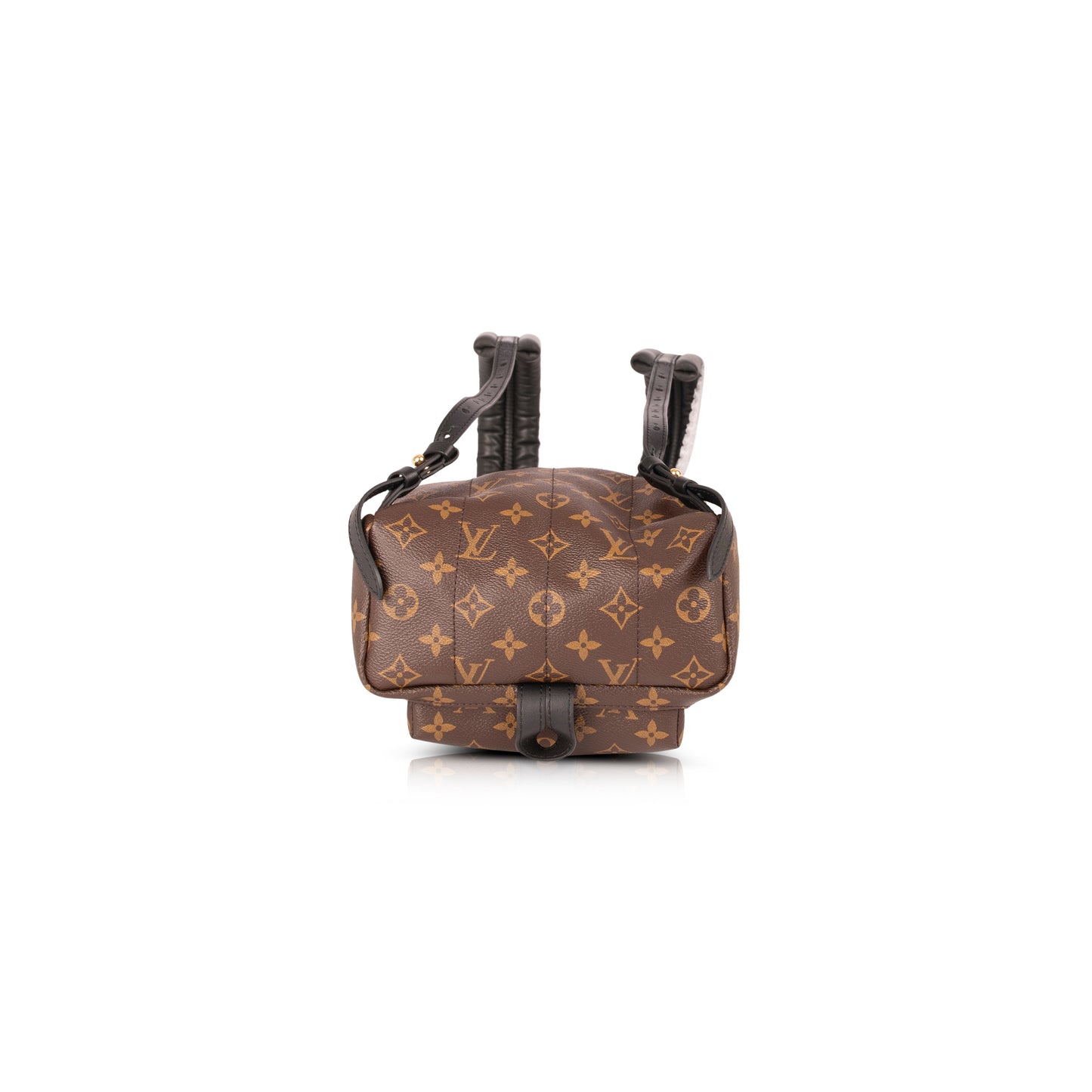 Louis Vuitton Monogram Palm Springs Backpack PM