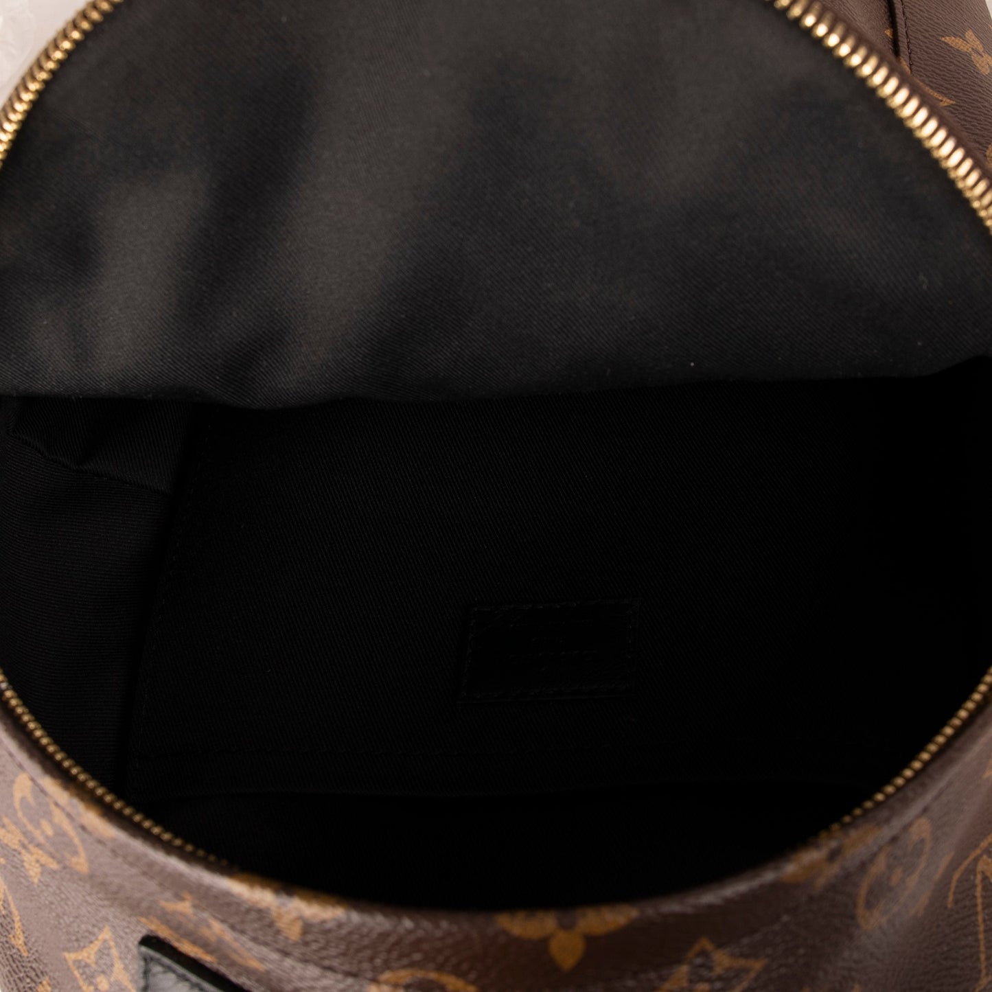 Louis Vuitton Monogram Palm Springs Backpack PM