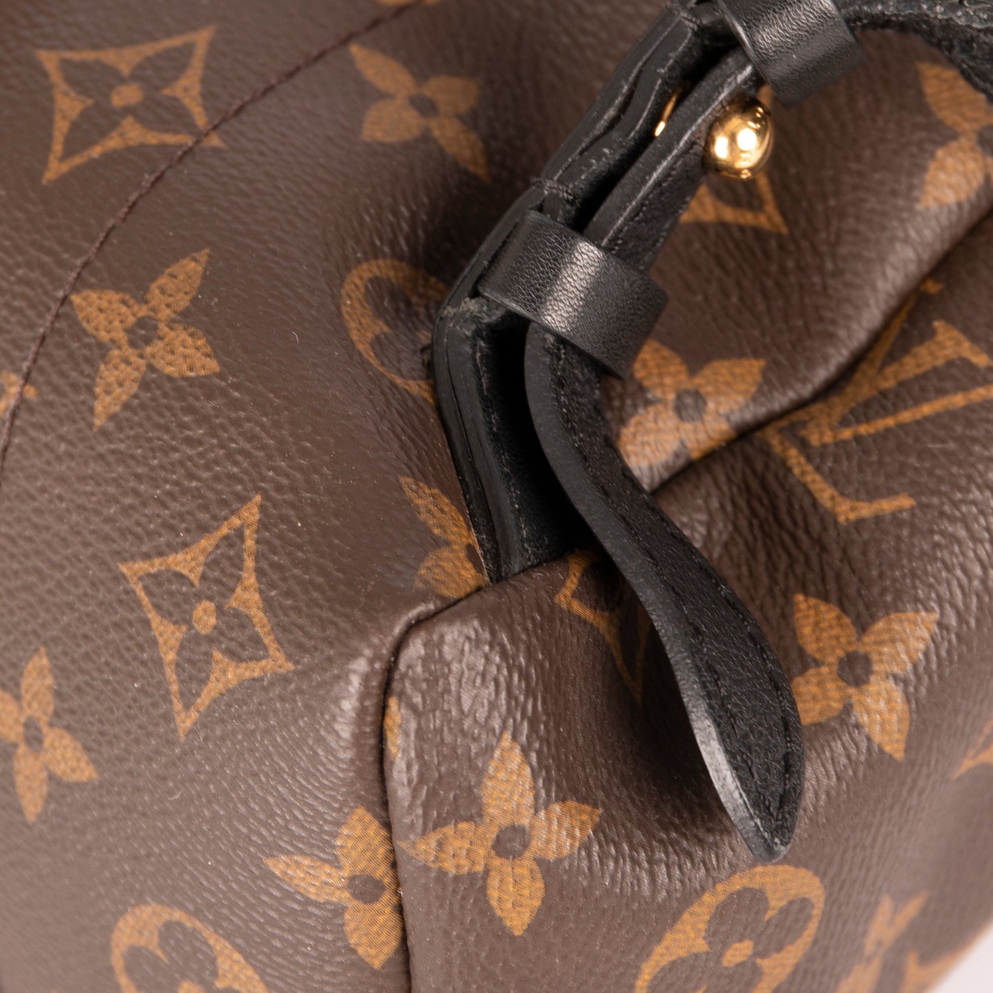 Louis Vuitton Monogram Palm Springs Backpack PM