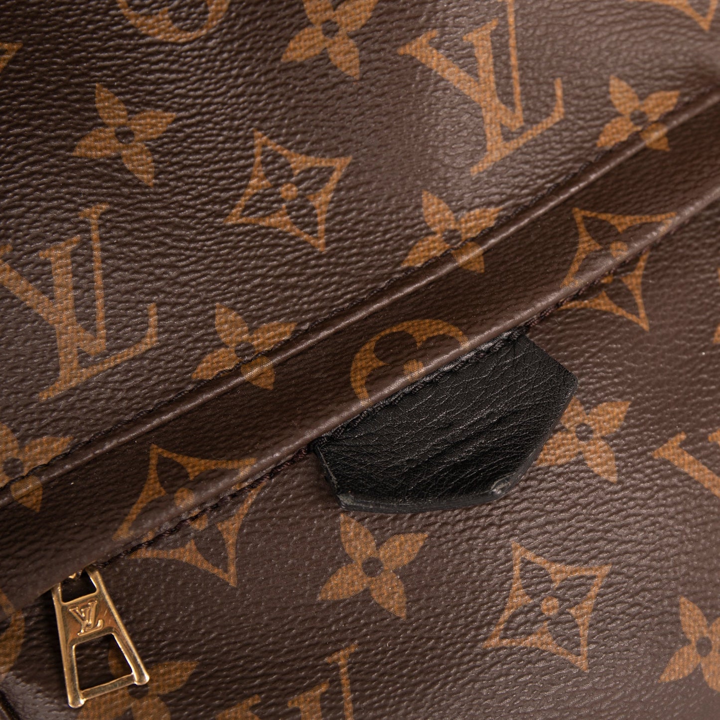 Louis Vuitton Monogram Palm Springs Backpack PM