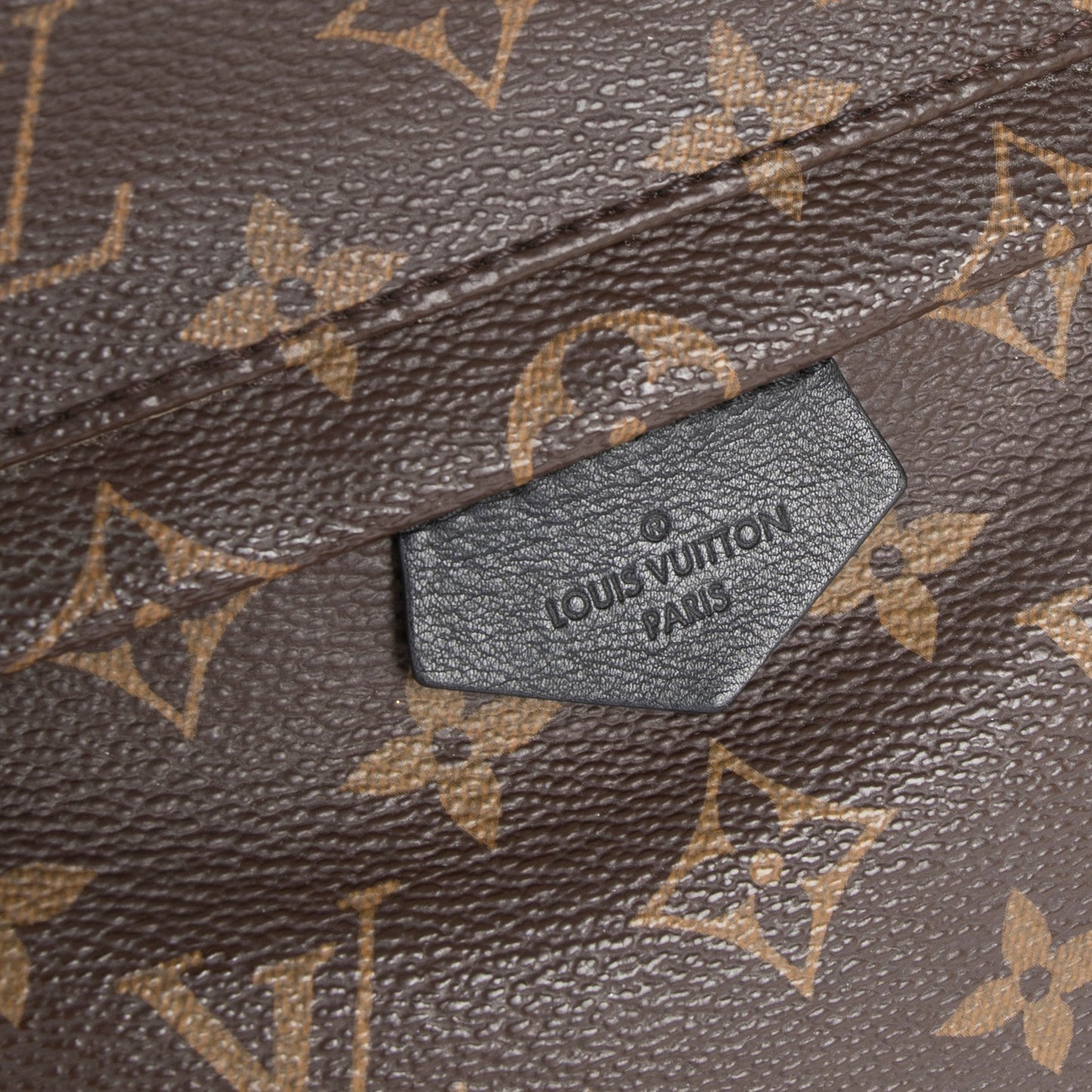 Louis Vuitton Monogram Palm Springs Backpack PM