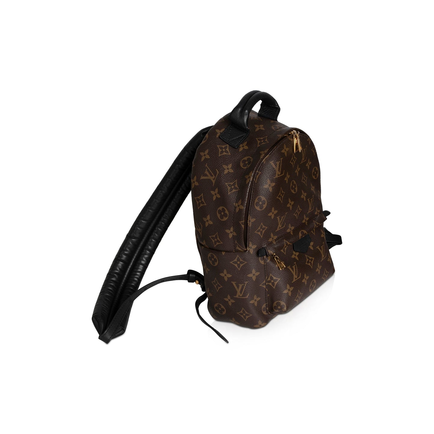 Louis Vuitton Monogram Palm Springs Backpack PM