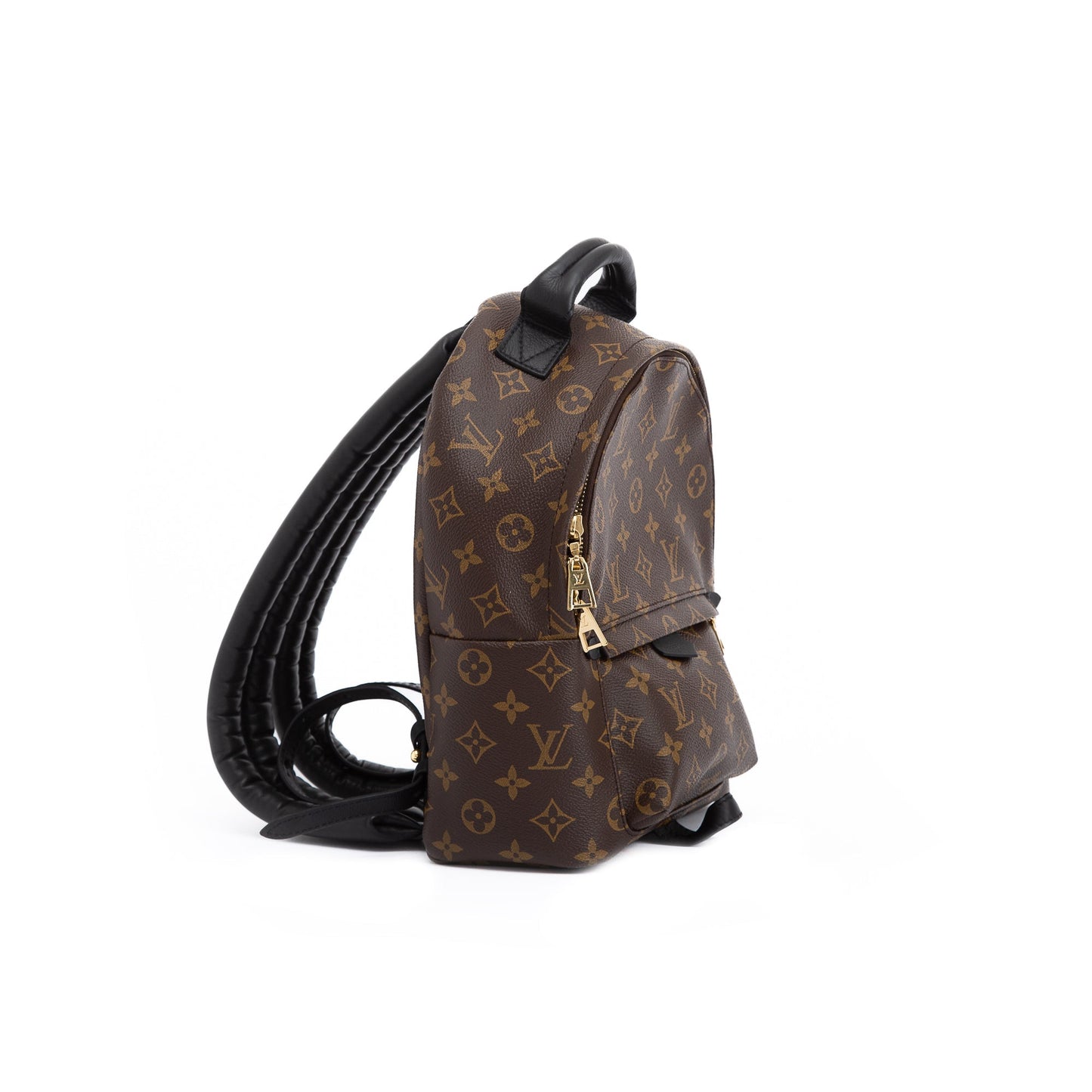Louis Vuitton Monogram Palm Springs Backpack PM