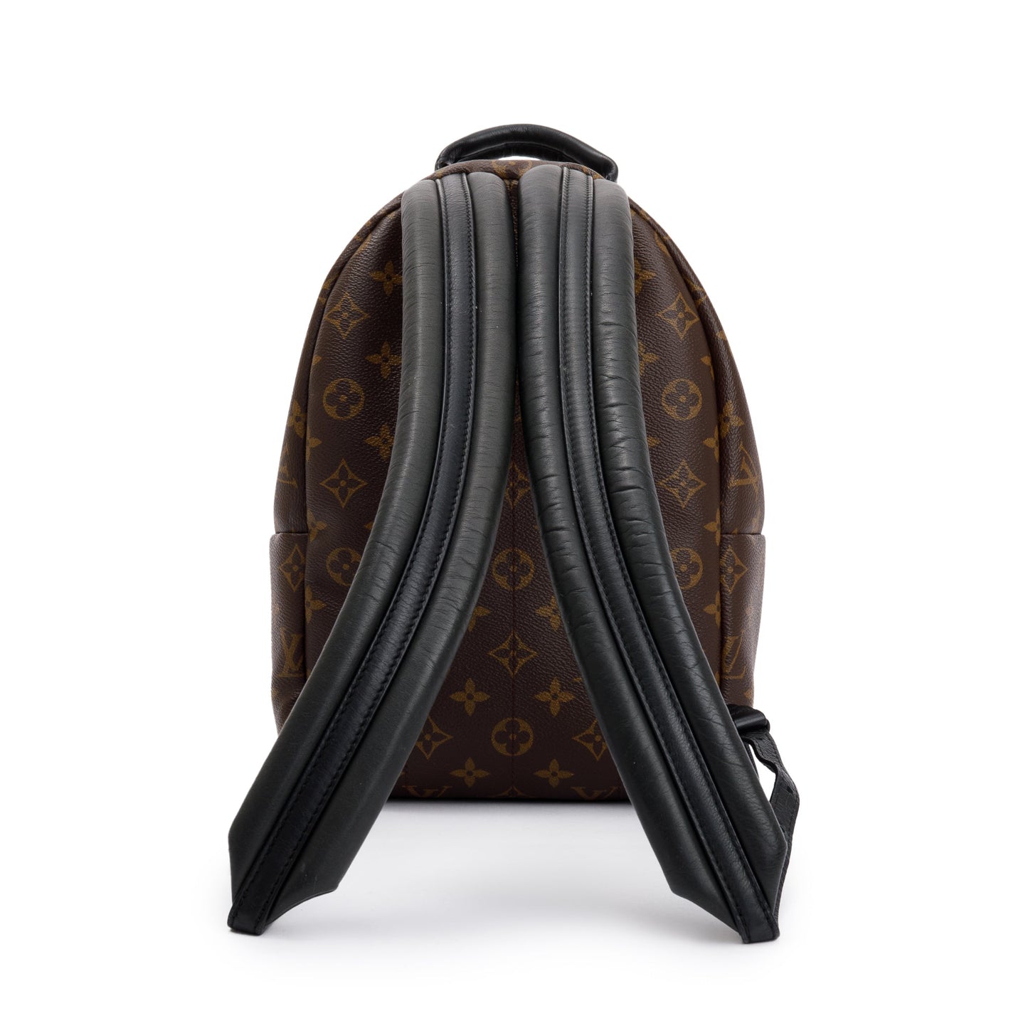 Louis Vuitton Monogram Palm Springs Backpack PM