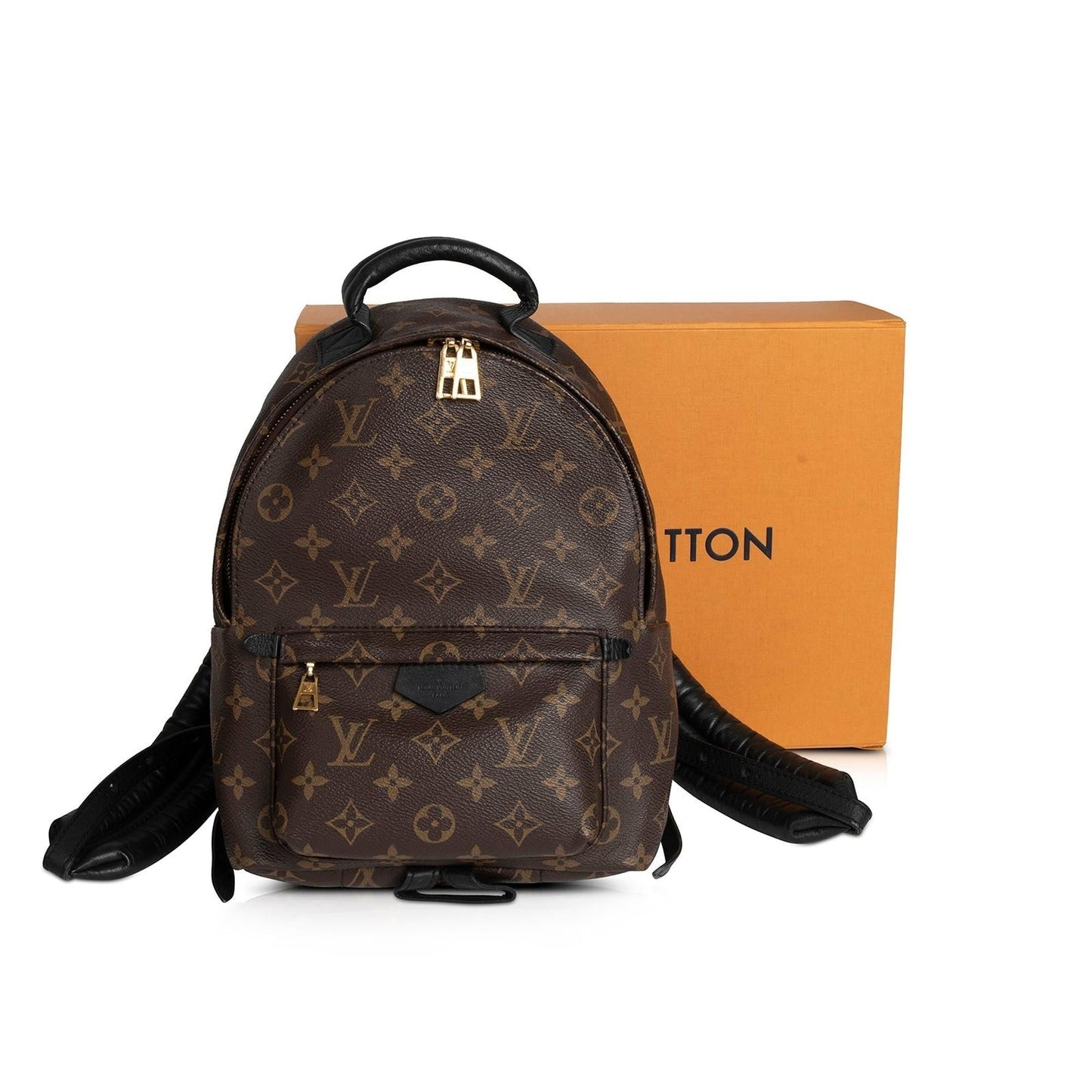 Louis Vuitton Monogram Palm Springs Backpack PM
