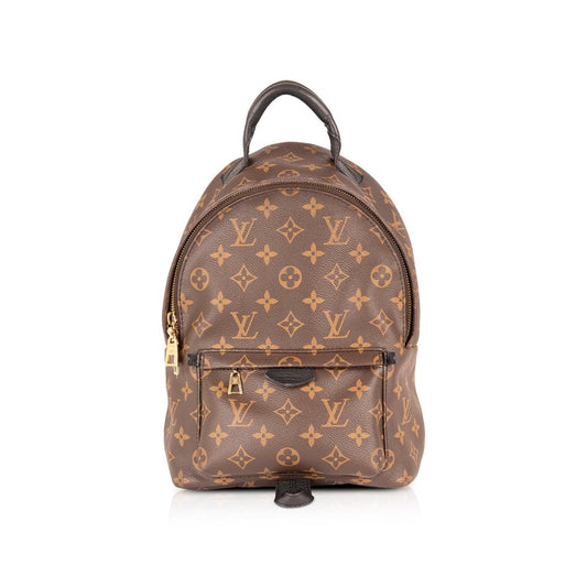Louis Vuitton Monogram Palm Springs Backpack PM