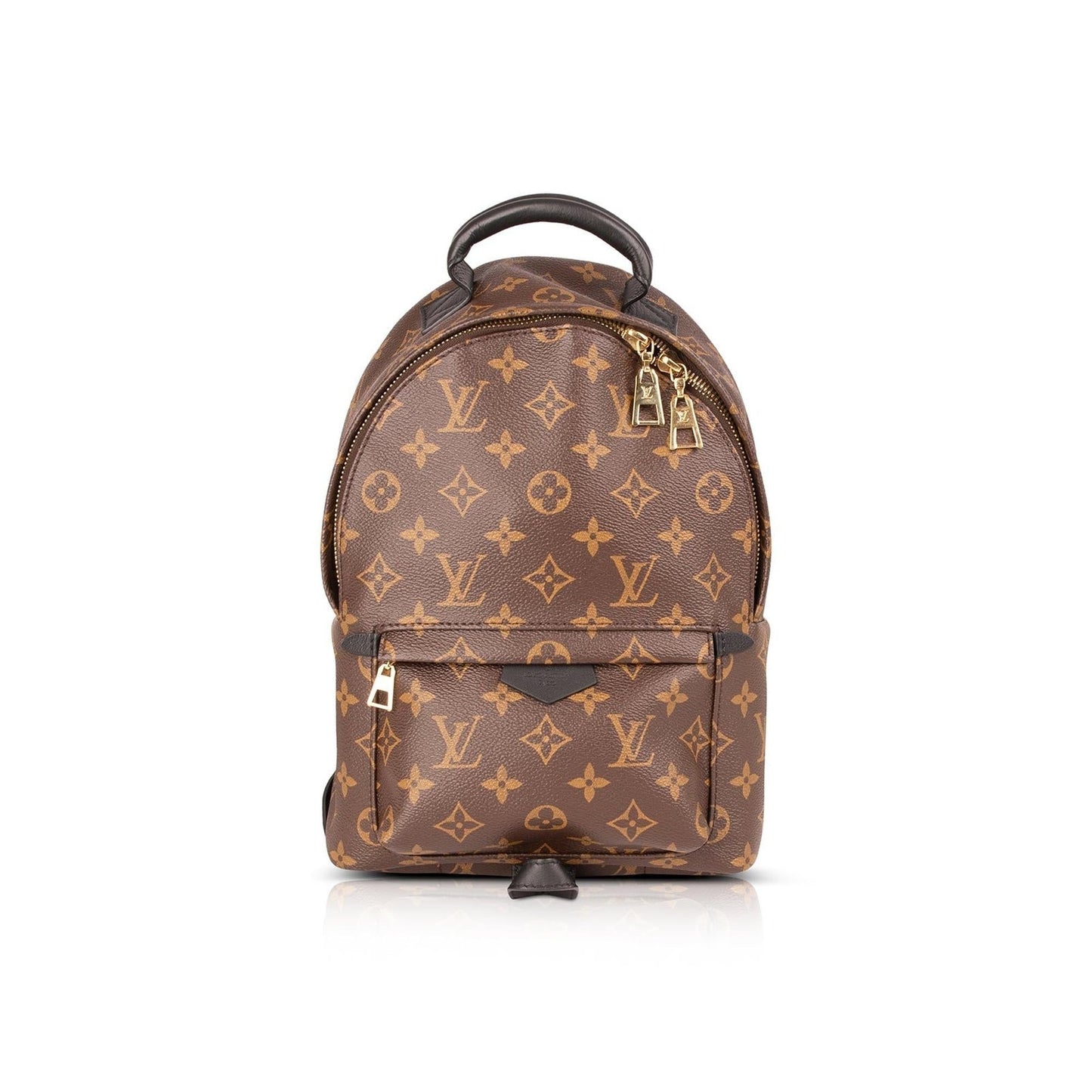 Louis Vuitton Monogram Palm Springs Backpack PM
