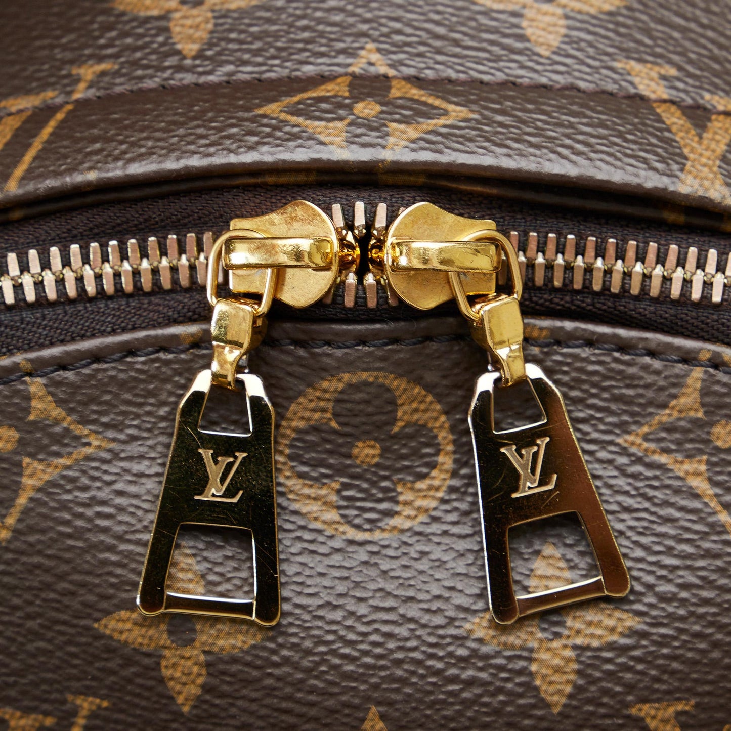 Louis Vuitton Monogram Palm Springs MM (SHG-EEtM0b)