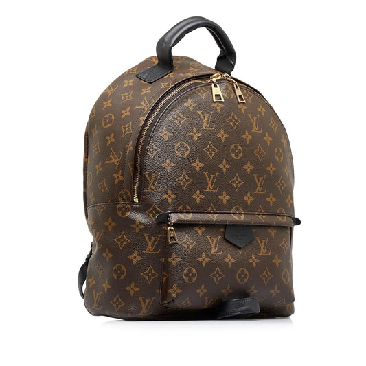 Louis Vuitton Monogram Palm Springs MM (SHG-EEtM0b)