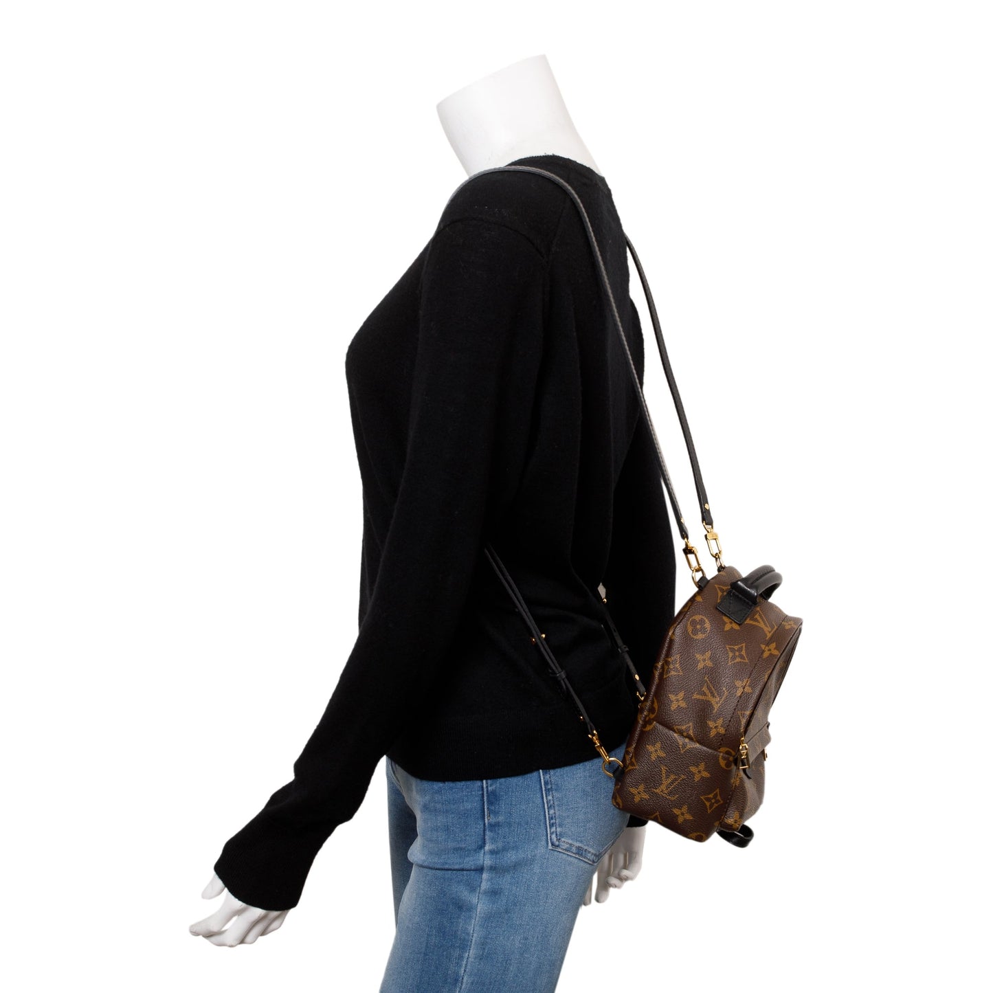 Louis Vuitton Monogram Palm Springs Mini Backpack