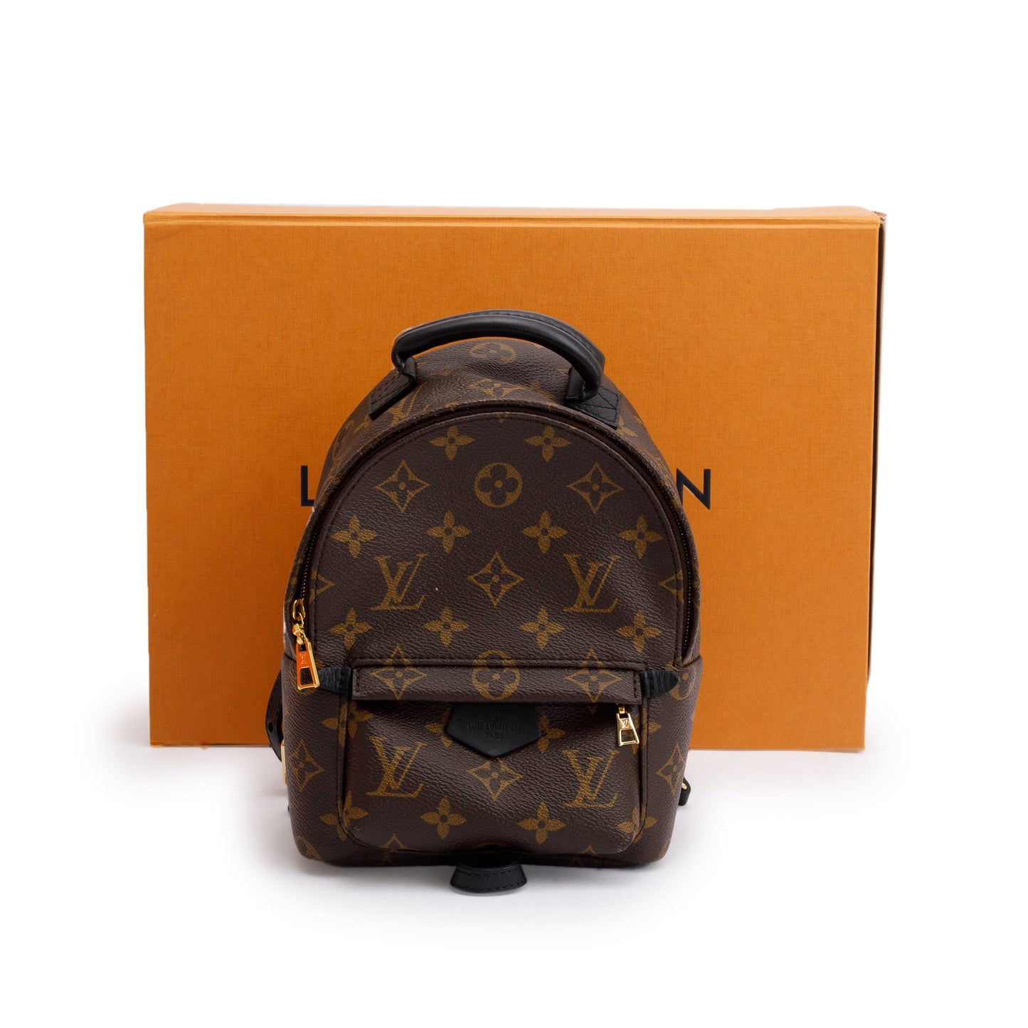 Louis Vuitton Monogram Palm Springs Mini Backpack