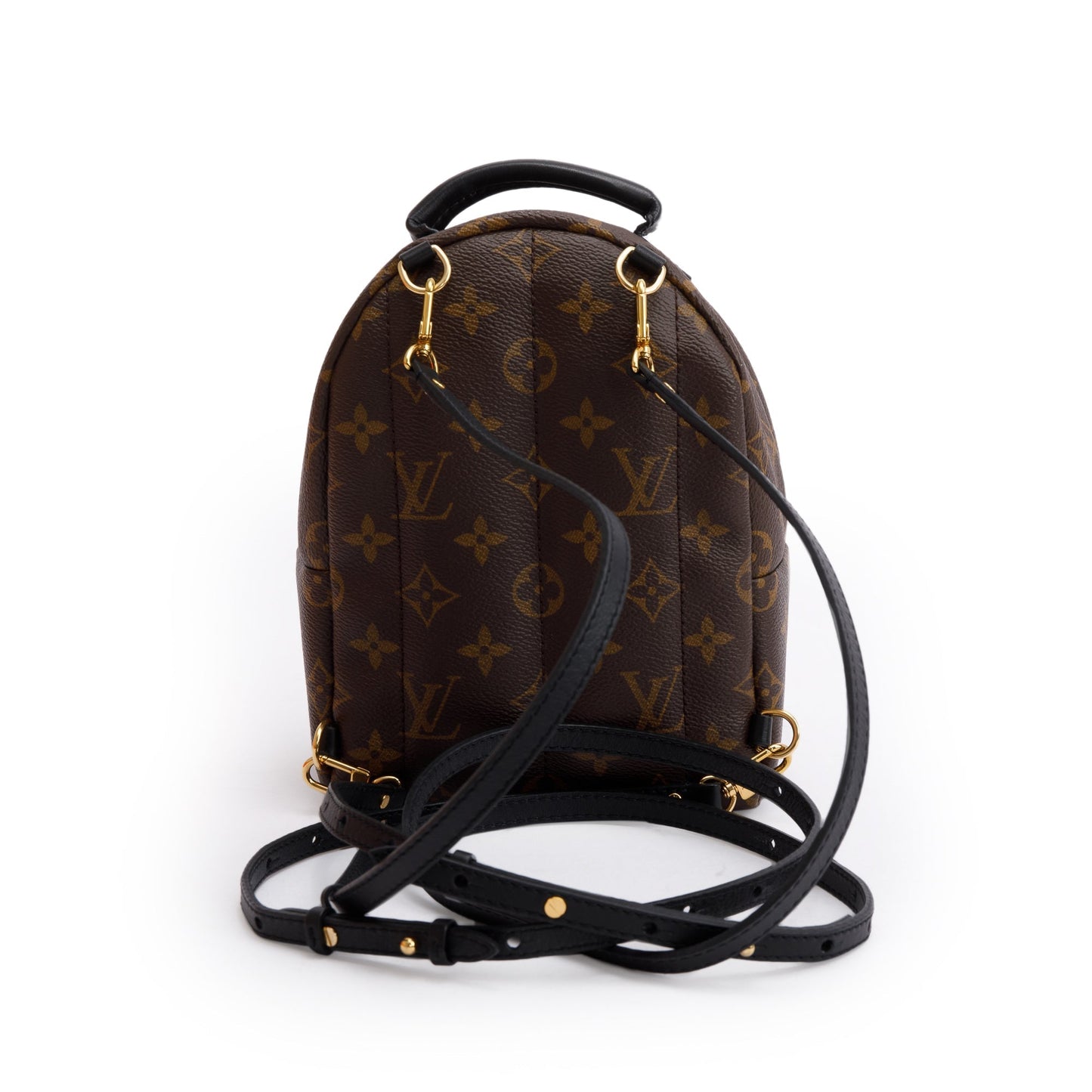 Louis Vuitton Monogram Palm Springs Mini Backpack