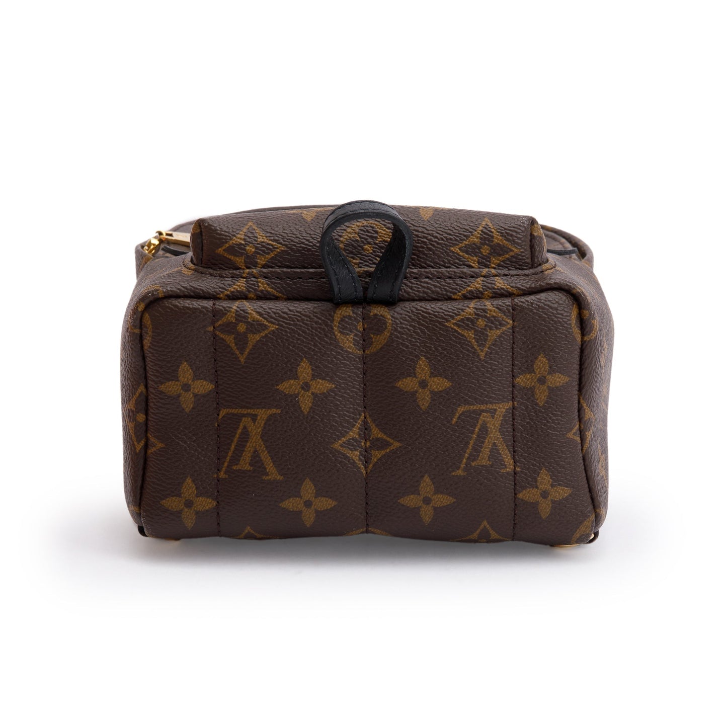 Louis Vuitton Monogram Palm Springs Mini Backpack
