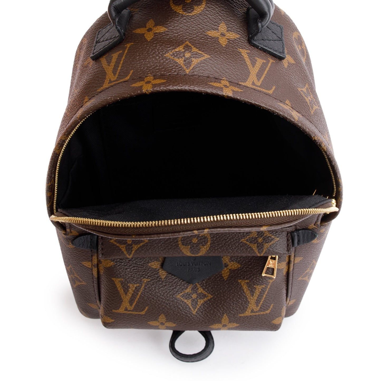 Louis Vuitton Monogram Palm Springs Mini Backpack