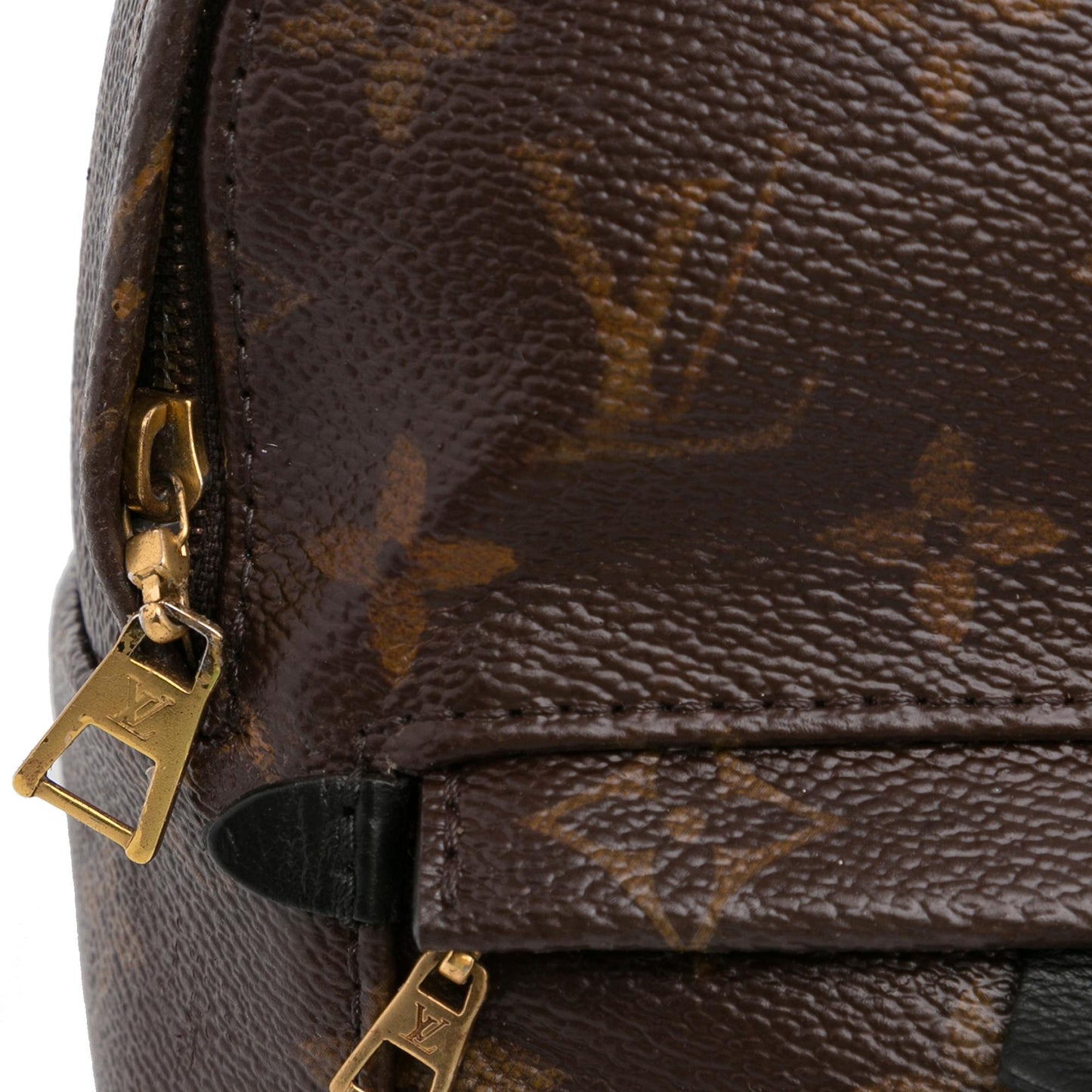 Louis Vuitton Monogram Palm Springs Mini (SHG-DldnMG)