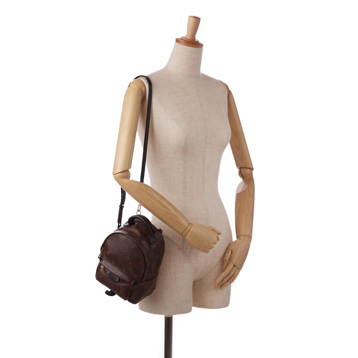 Louis Vuitton Monogram Palm Springs Mini (SHG-DldnMG)