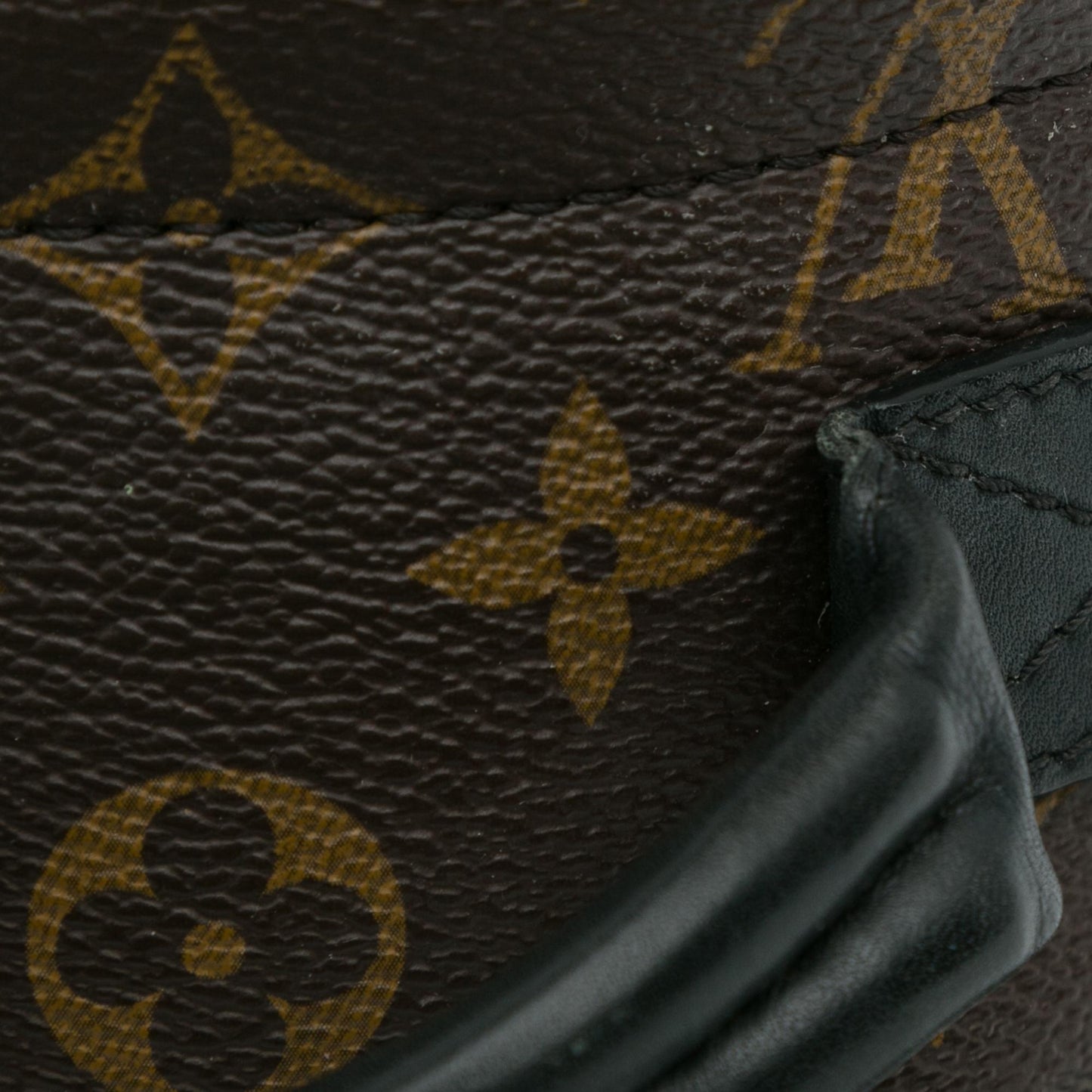 Louis Vuitton Monogram Palm Springs Mini (SHG-RO8kOH)